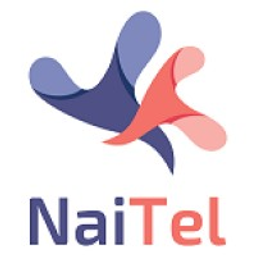 AL Nayi for Information and Communication Consulting Company LLC logo