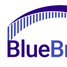BlueBridge Networks logo