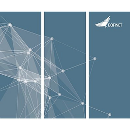 Botswana Fibre Networks logo