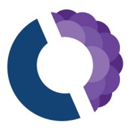 Cinter Technology Services logo