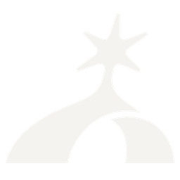 Cowboy Space Corp. logo