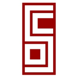 Csd Network Services Ltd logo