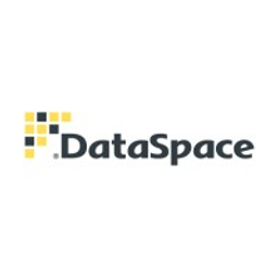 DataSpace Partners LLC logo