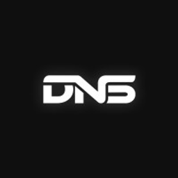 DNSnetworks Corporation logo