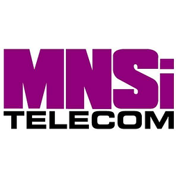 Managed Network Systems Inc. logo