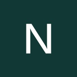 Netcompany logo