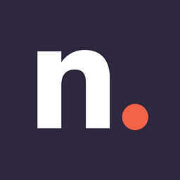 Netwise Hosting Ltd logo