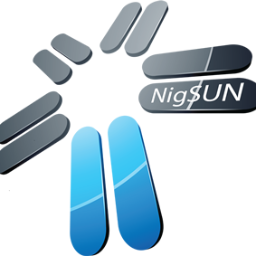 NIGSUN LIMITED - IP SERVICES logo