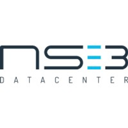 NS3 srl logo